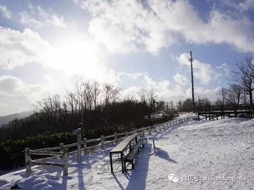 日本北海道旅游攻略自由行,日本大阪旅游攻略