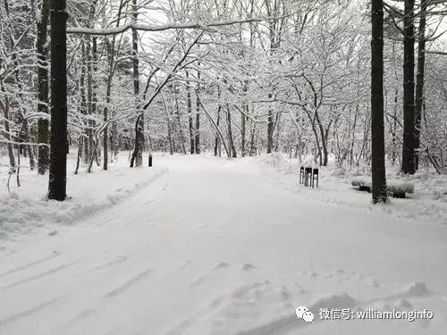 日本北海道旅游攻略自由行,日本大阪旅游攻略