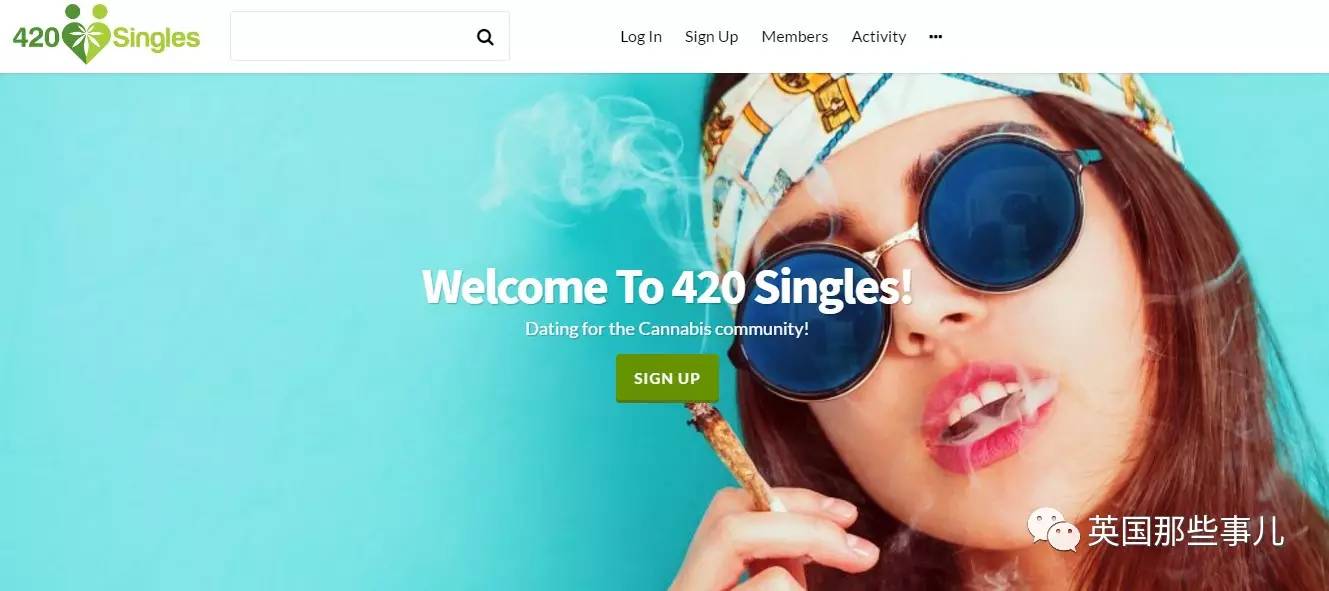 美国婚恋相亲网站,美国的婚恋交友网站