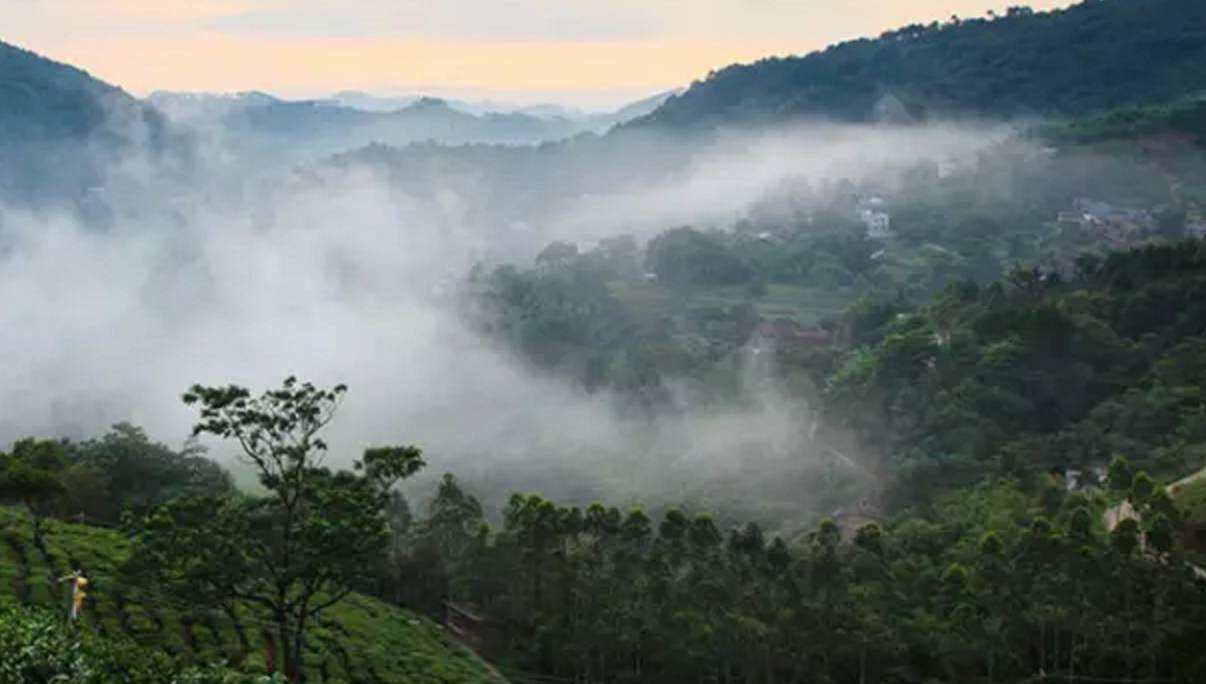 南宁农家乐推荐周边特色农家乐,南宁良庆区哪里有好的农家乐