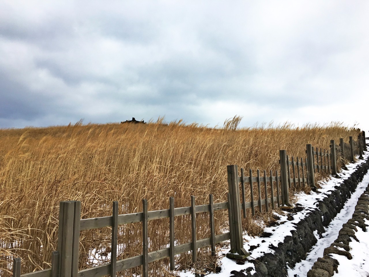 网红景点与网红店，就是济州岛正确的打开方式｜攻略