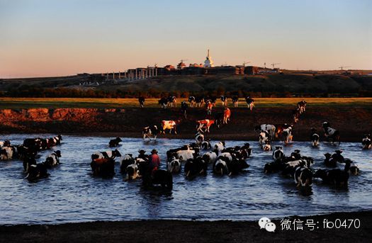 图说内蒙古,最新呼伦贝尔草原