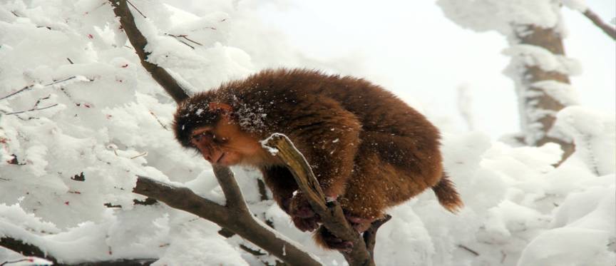 畅游五a景区,免费畅游的5a级景区