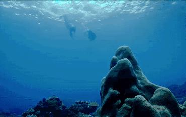 编辑部种草季｜风靡保养界的美容液toplist，适合你的或许并非是爆款！