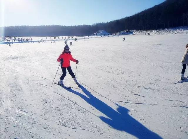 哈尔滨冬天免费玩雪的地方,哈尔滨冰雪旅游春节