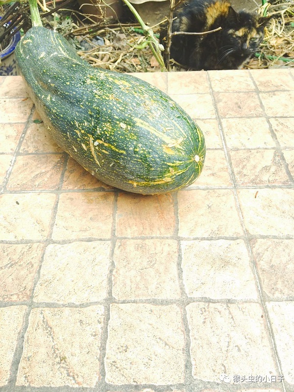 豆瓣日记:南瓜汤－－出门买菜的正能量