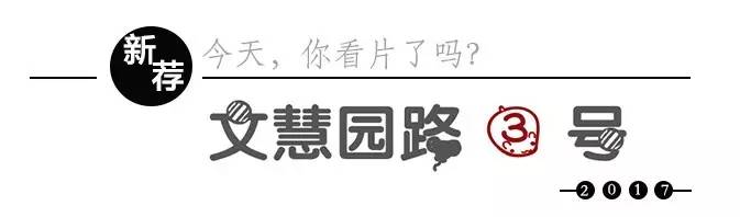 看爱乐之城感受,带我去看爱乐之城