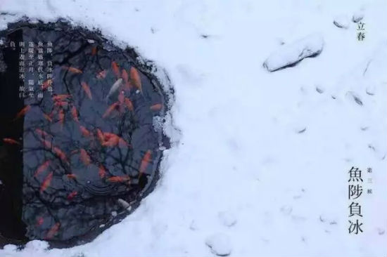 2月3日立春,百年一遇!可这只是神奇鸡年的开始……