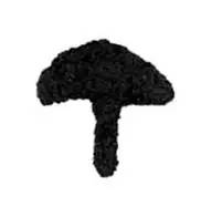 鸡年想写好“丁酉”,先看看这个帖子!