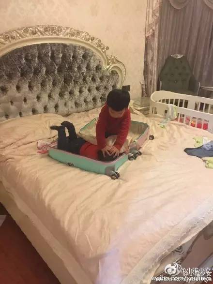 太搞笑了的图片,太搞笑了配图