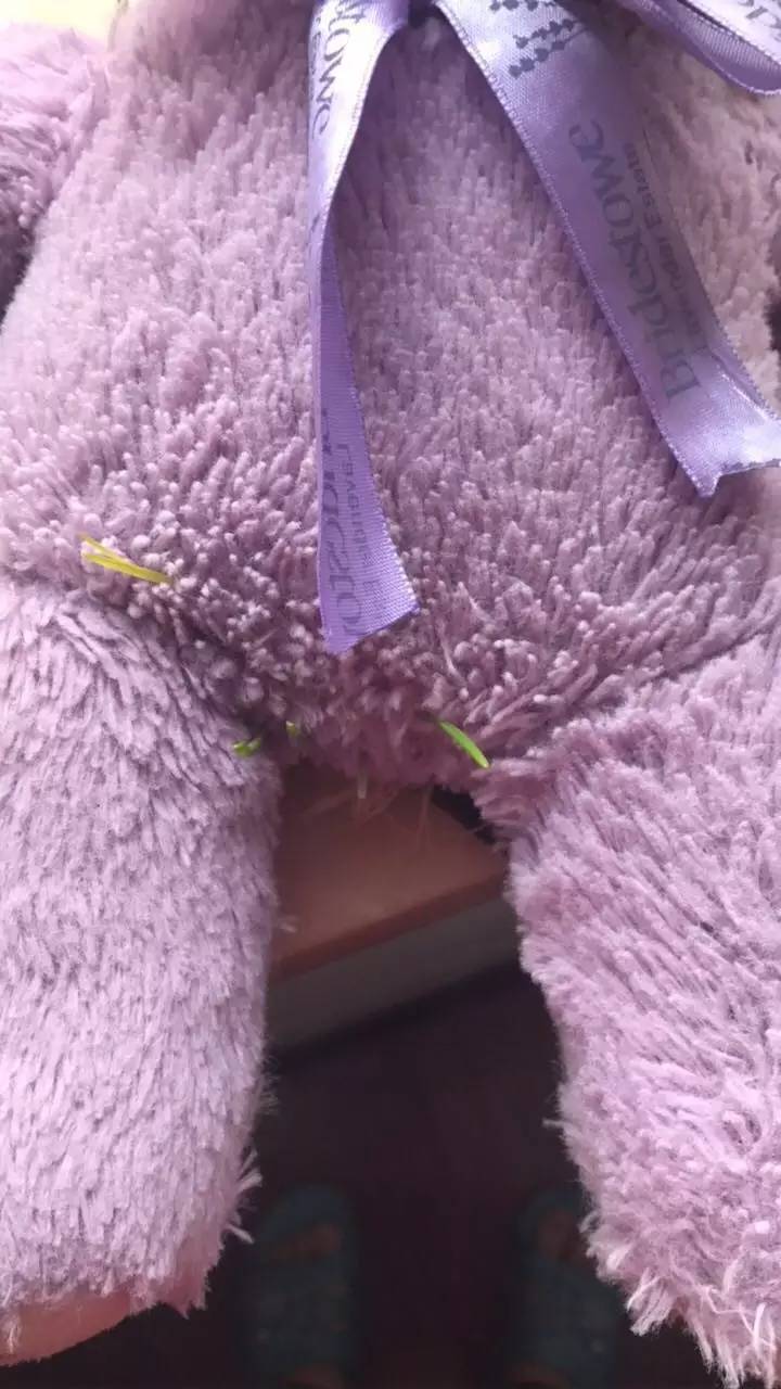 薰衣草小熊,薰衣草小熊是什么