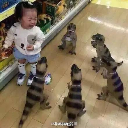 太搞笑了图片带字,非常搞笑的相册