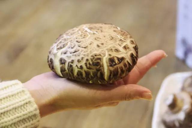 海参鲍鱼花菇鱿鱼佛跳墙,佛跳墙香菇鸡汤鲍鱼