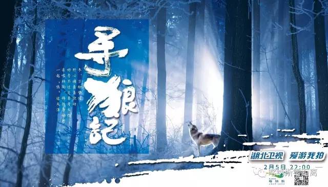 《爱游我拍》喀纳斯“寻狼记”开播追寻原始狼性魅力