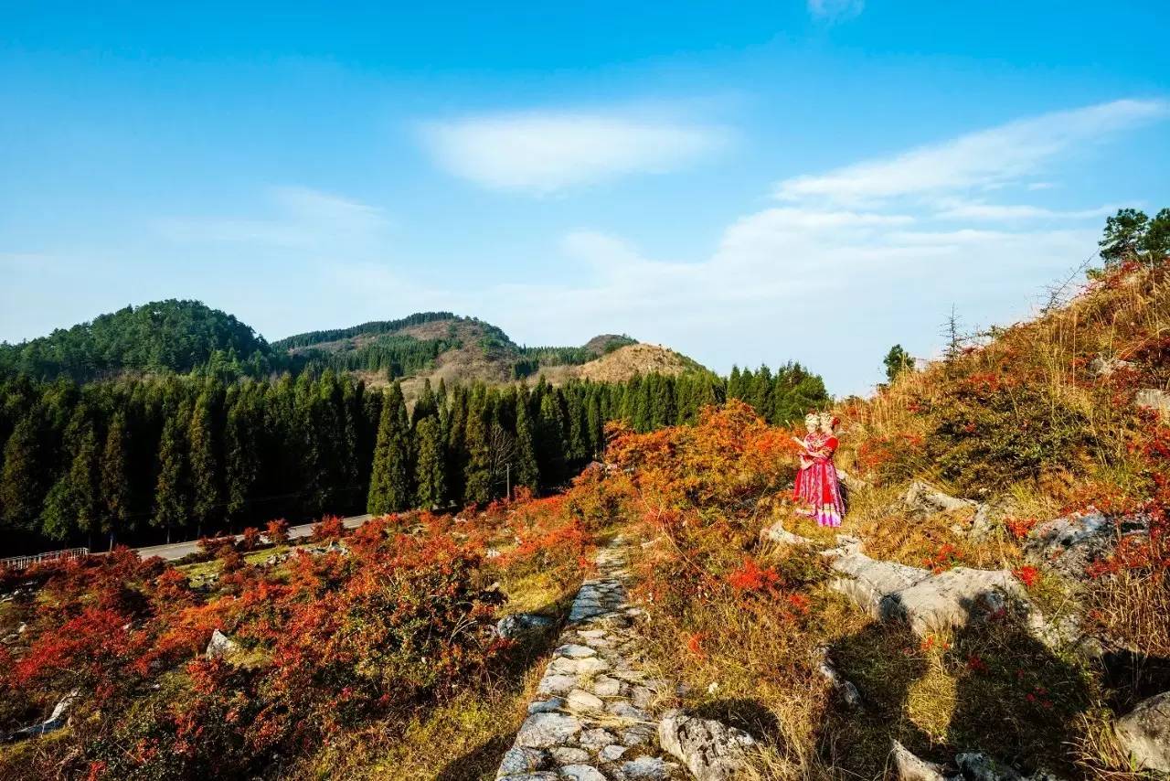 中国最粗壮的石柱,中国最粗壮的天然石柱