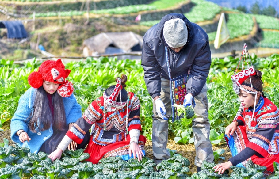 云耕生活记你耕田来我织布