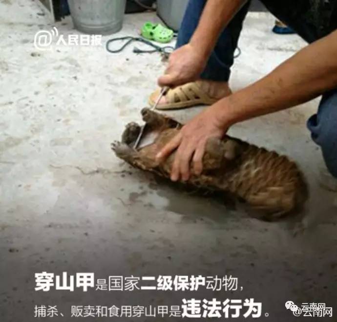 小侃最新视频,小侃