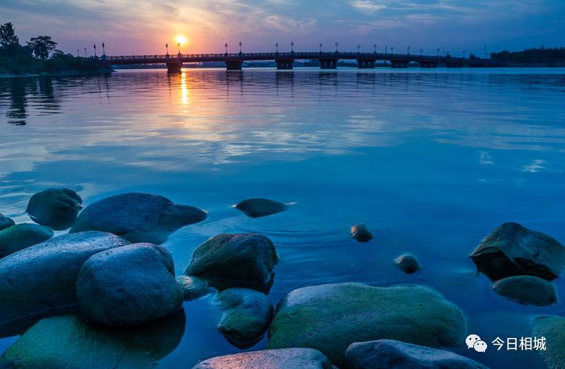 在春天赴一场樱花的约会,在春天去赴一场与花海的约会