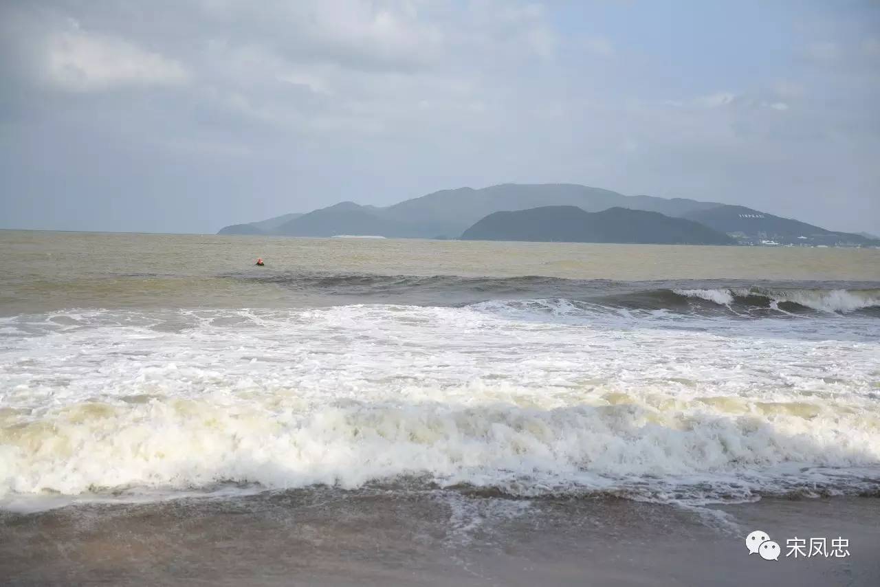 我的越南之旅旅行日记,旅行日记越南