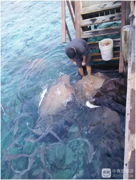 马尔代夫吉哈德岛（KIHAAD）旅游攻略