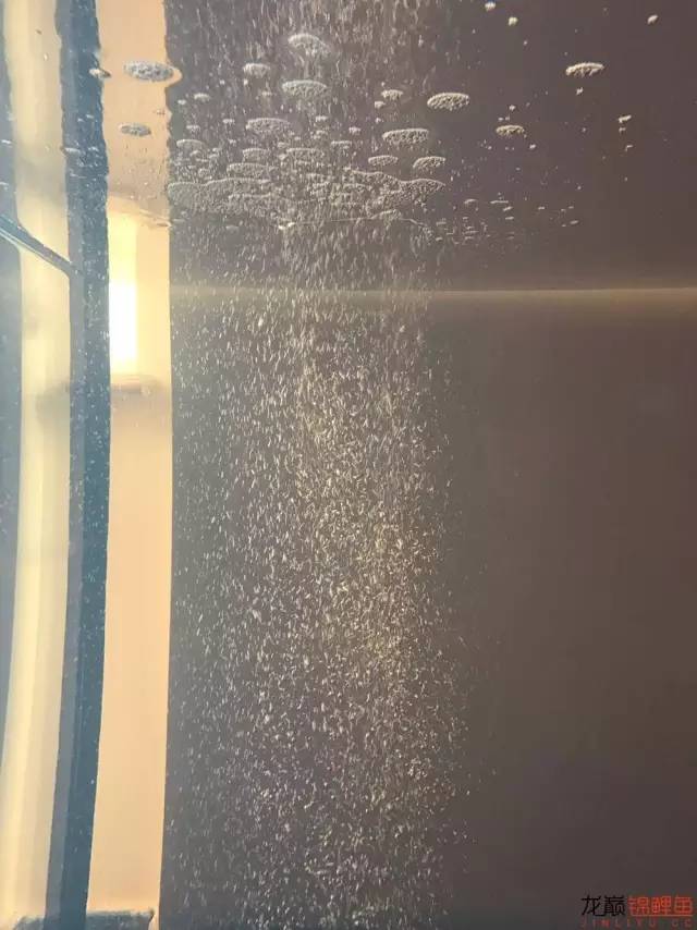 地缸里面漂浮的粉末怎么解决,粘的地缸怎么干得快