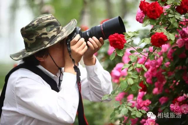 在春天赴一场樱花的约会,在春天去赴一场与花海的约会