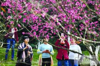 关系中山未来的重大工程要加快建设，市委书记陈如桂怎么说？｜速览