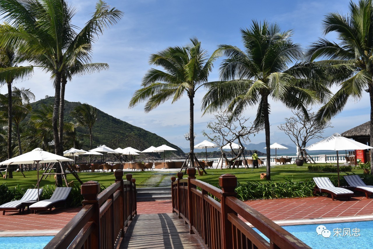 我的越南之旅旅行日记,旅行日记越南