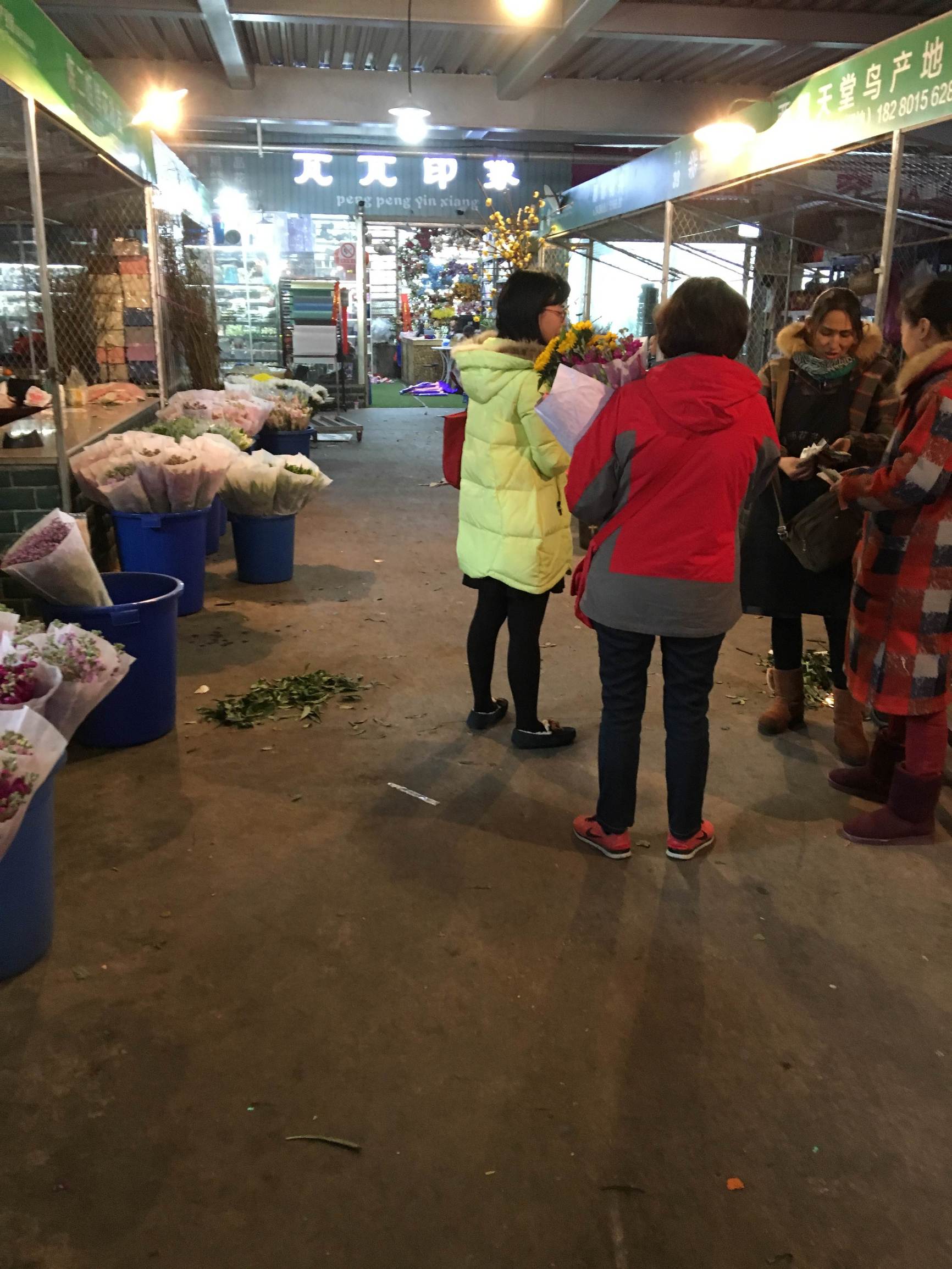 年宵花市探“鲜”记(一)之孤独的花大姐