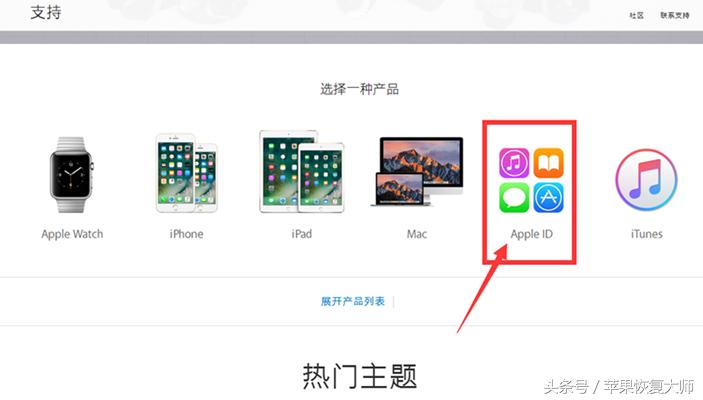 appleid被停用怎么解除,iphoneid停用怎么办