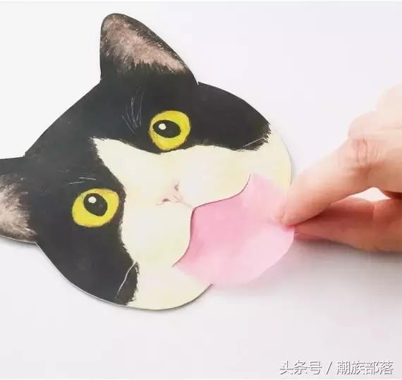 猫控保健,猫控送什么礼物