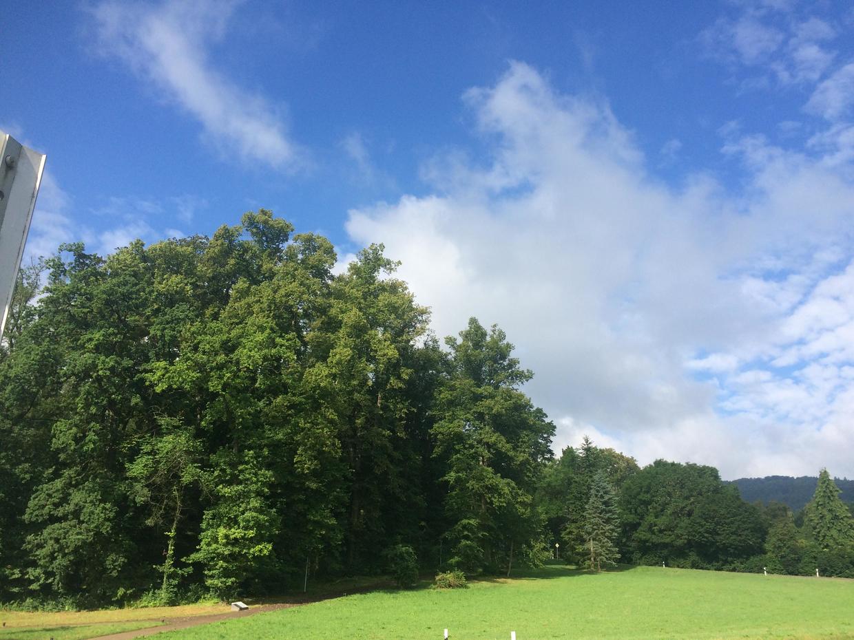 去德国旅游的游记,德国和奥地利游记攻略