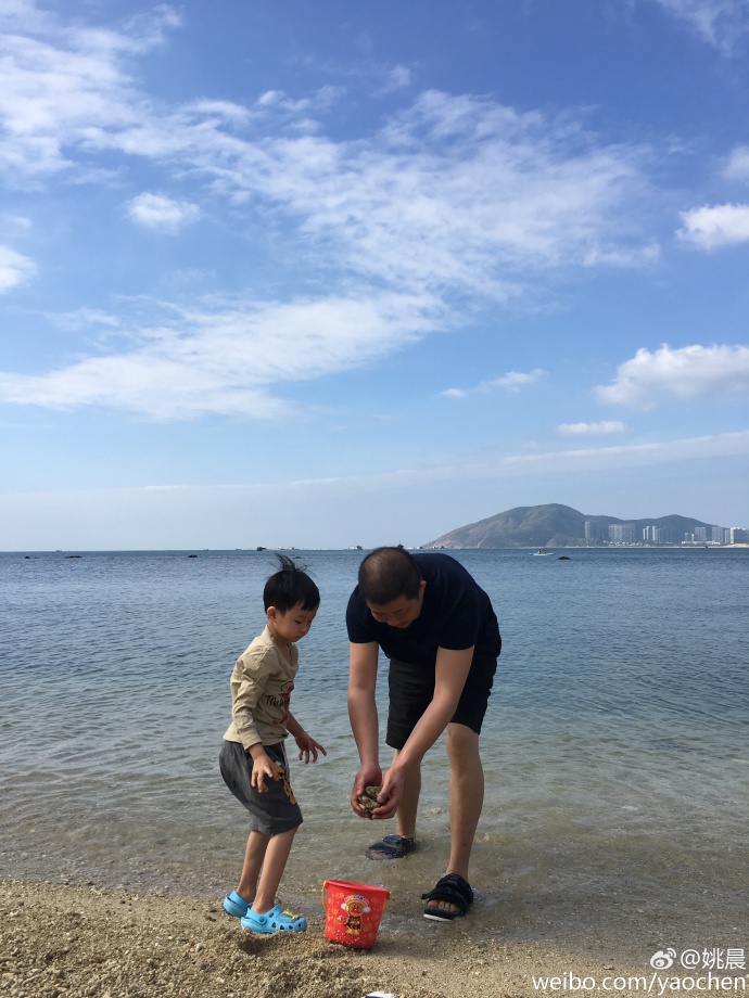 安吉考拉的视频,安吉考拉海边度假