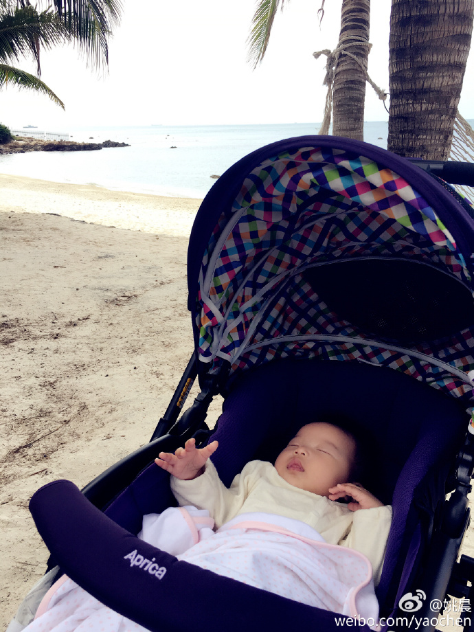 安吉考拉的视频,安吉考拉海边度假