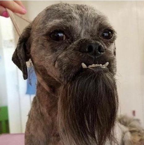 为什么拉黑别人还能看到他的视频,真正拉黑一个人的后果很严重