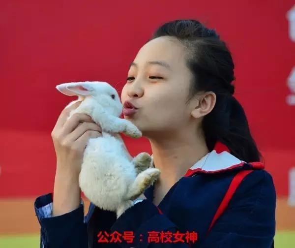 林妙可艺考四所大学,林妙可报考大学