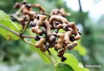 教你一招解酒最快的办法,喝多了第二天怎么快速解酒小妙招