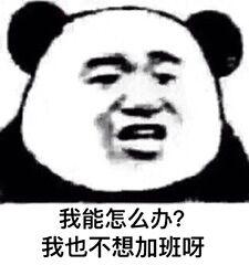 你问题好多怎么回复,你怎么这么多问题表情包