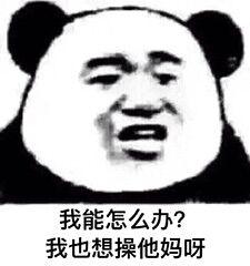 你问题好多怎么回复,你怎么这么多问题表情包