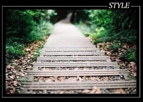 朋友越走越远感情越来越淡,真正的朋友越走越少