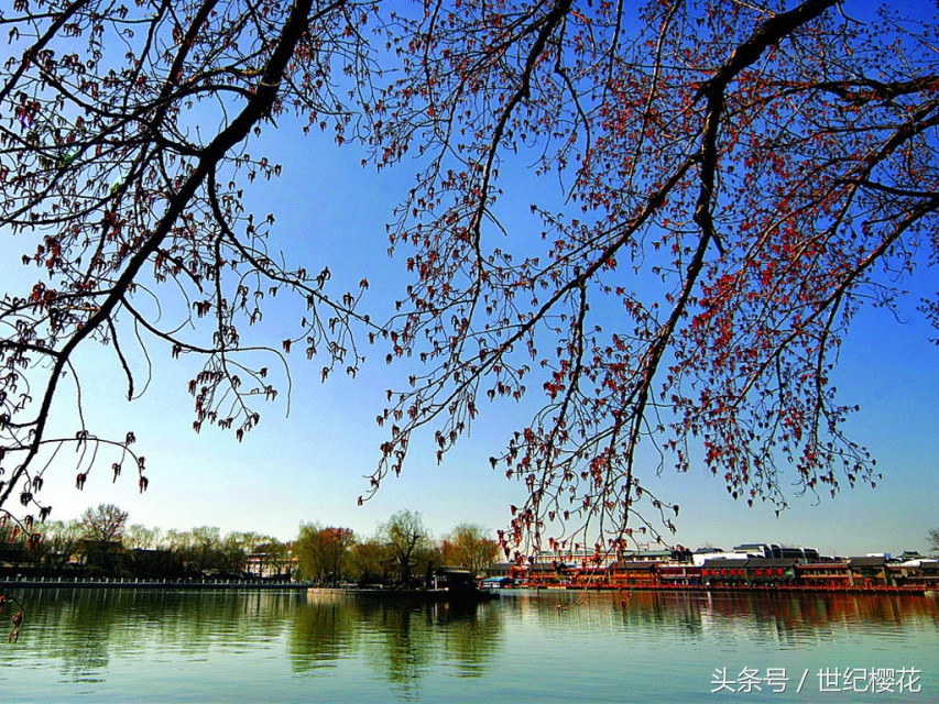 城市风情——发现城市中独特的美