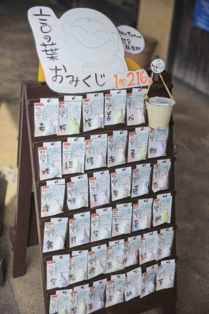 初冬九州温泉旅游攻略,与闺蜜冬日游山庄