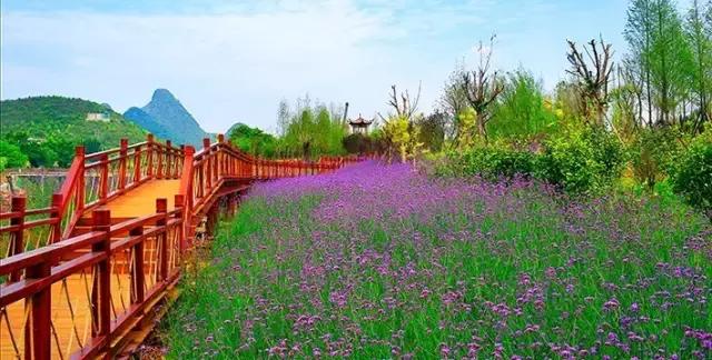 贵州黄果树旅游攻略,昆明至黄果树旅游攻略