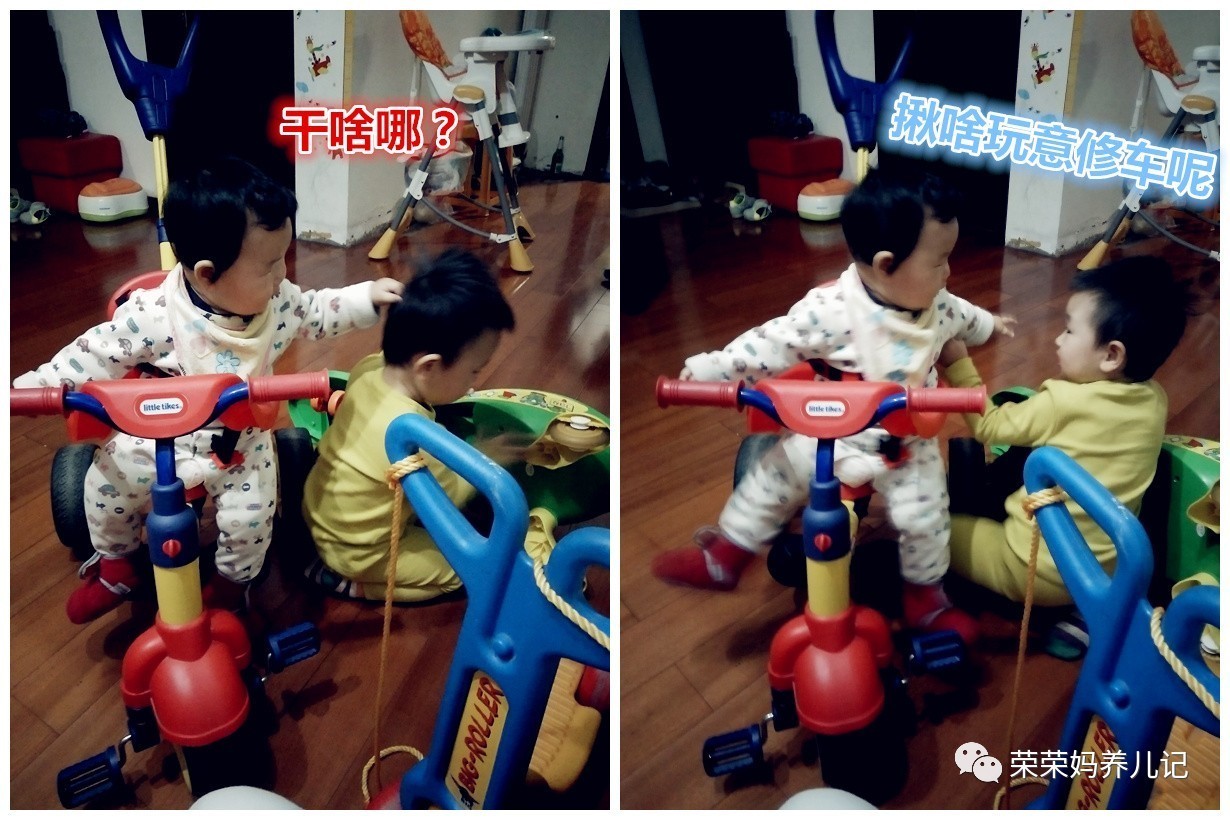 过年怎能不虐狗,逗比兄妹的年终总结