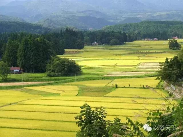 日本:一家一户的小农化也能实现机械化