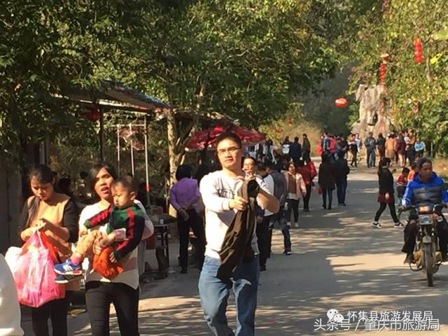 国庆怀集接待游客人次,怀集2029年旅游接待人数