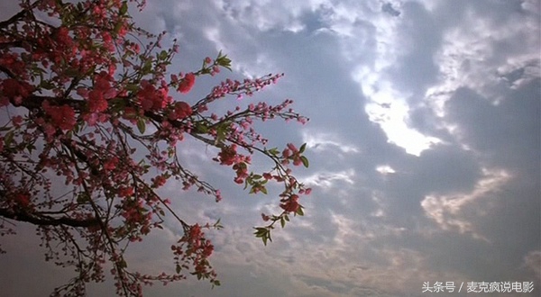 刘镇伟最不喜欢的一部电影,刘镇伟经典电影十部