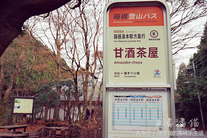 箱根温泉视频,箱根温泉深度解析