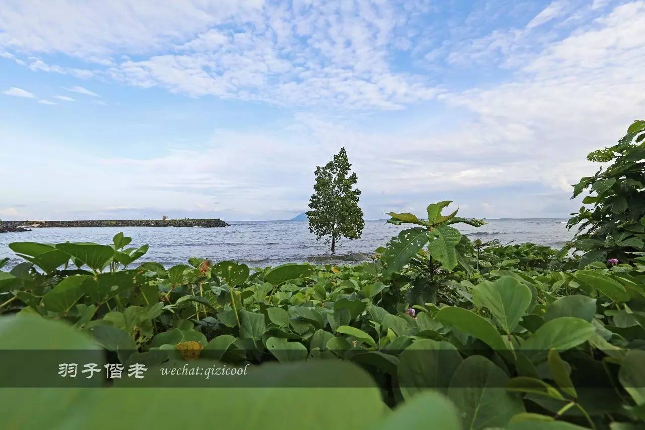 印尼美娜多游玩攻略,美娜多旅行攻略