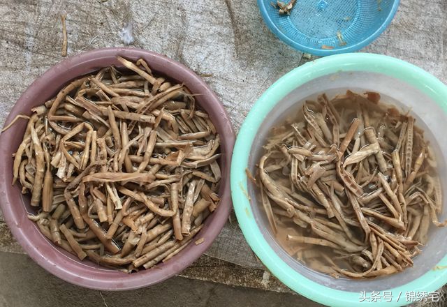 在北方不容易买到的时令蔬菜,这些特色蔬菜你见过吗